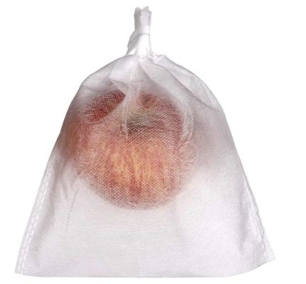 17gsm 30gsm Apple Protection Bags , Weatherproof Protective Bags For Fruit Trees