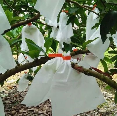 17gsm 30gsm Apple Protection Bags , Weatherproof Protective Bags For Fruit Trees